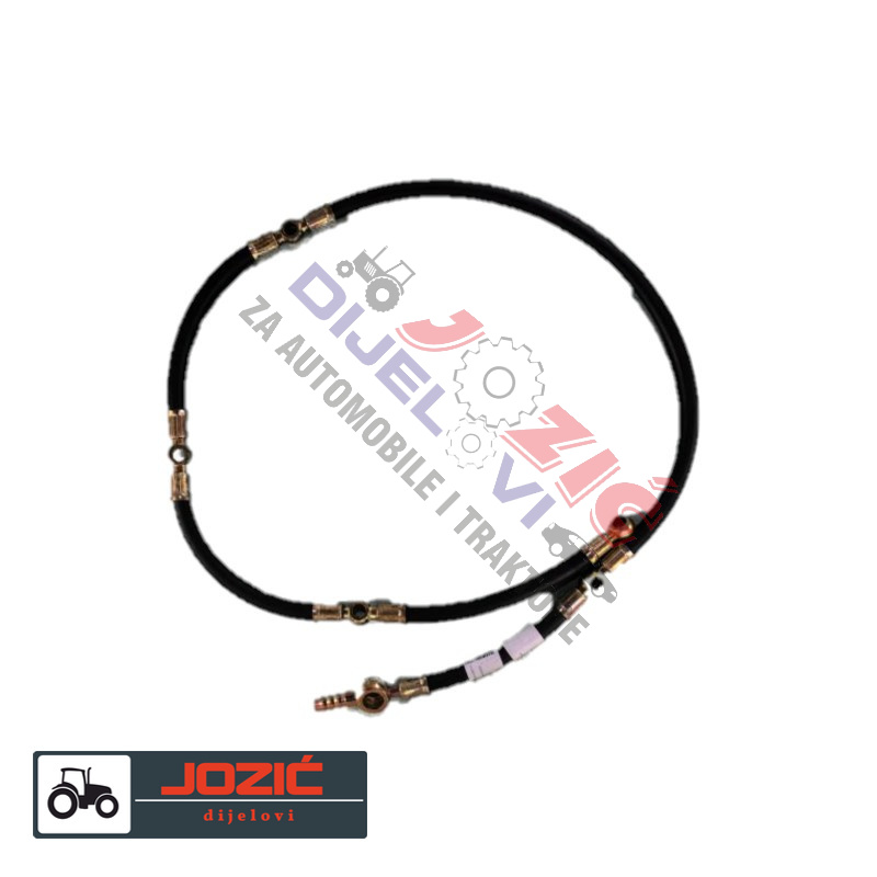 Daisy on the Ohoopee